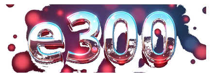 e300 logo